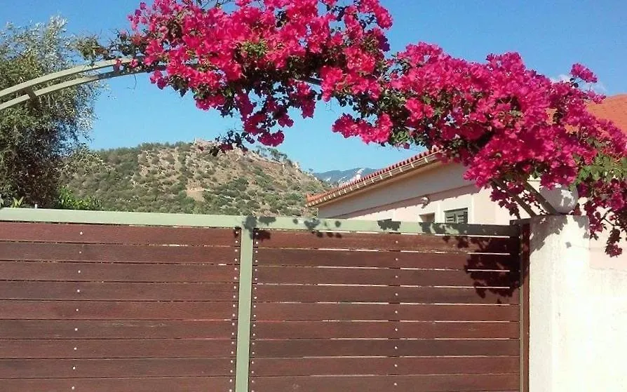 Elegant And Serene Villa Angeliki Fokata